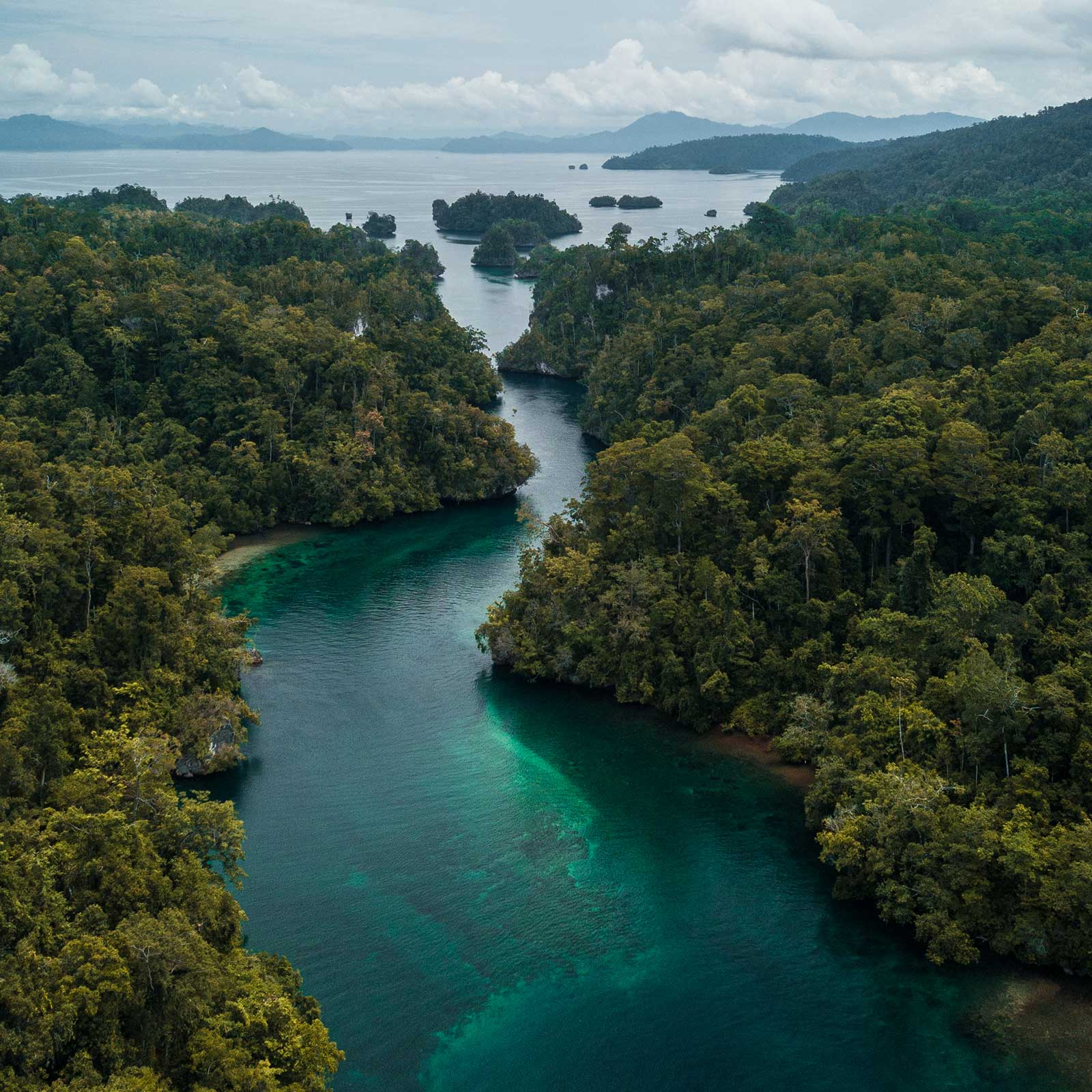 Proyecto de conservación ambiental